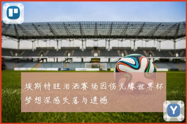 埃斯特旺泪洒赛场因伤无缘世界杯梦想深感失落与遗憾