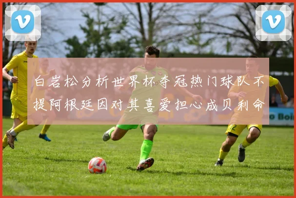 白岩松分析世界杯夺冠热门球队不提阿根廷因对其喜爱担心成贝利命运
