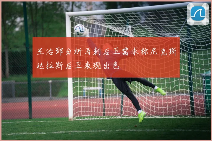 王治郅分析马刺后卫需求称尼克斯达拉斯后卫表现出色