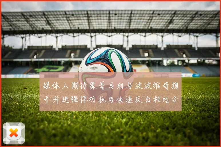 媒体人期待蒙哥马利与波波维奇携手并进强悍对抗与快速反击相结合
